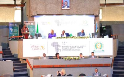 The 14th African Union High-Level Private Sector Forum Sounds Tough on African Growth
